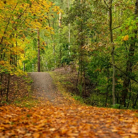 Mierzeja - Lesny Zaulek, * 슈투토보