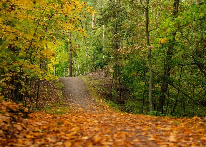 Mierzeja - Lesny Zaulek, * Sztutowo