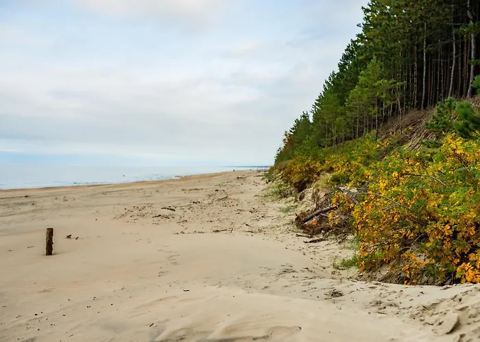 Mierzeja - Lesny Zaulek, Apartman Sztutowo